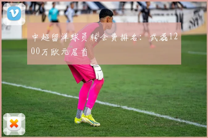 中超留洋球员转会费排名:武磊1200万欧元居首